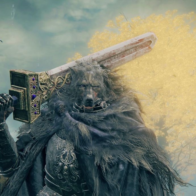 What do you think about elden ring?