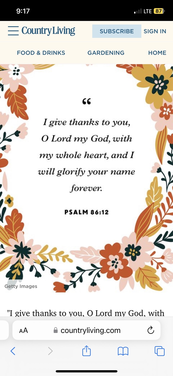 Which scripture should I choose for my bio? it’s hard lol?