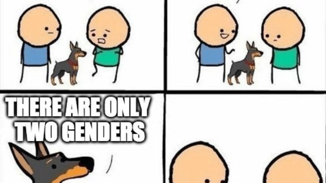 Should we arrest people for opposing gender idiology?