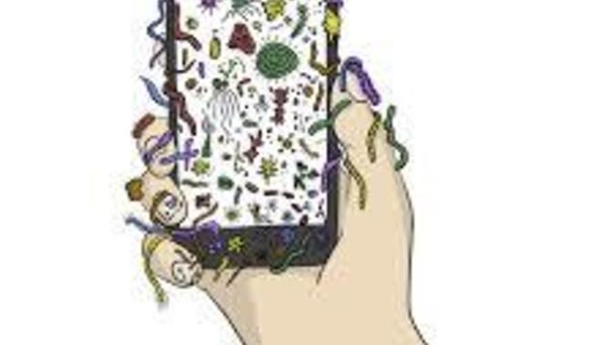 How often do you sanitize your phone?