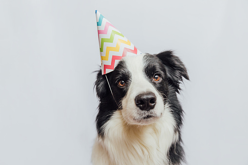 Do you think GAG should add a cool hat icon on your profile photo to let everyone know its your birthday?