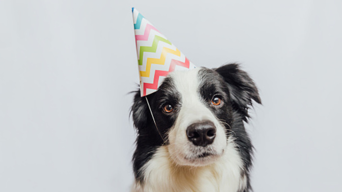 Do you think GAG should add a cool hat icon on your profile photo to let everyone know it's your birthday?