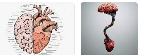 How Heart Is It To Understand?