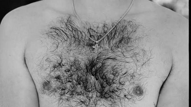 Girls, How much impact does a guy having hairy chest have?