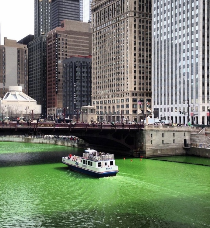 Are you going out for some green beer tonight?