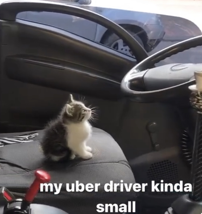 What would you do if this was your Uber driver?