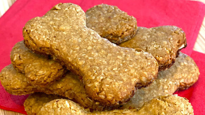 Do you hide your dog’s treat around the house for more fun?
