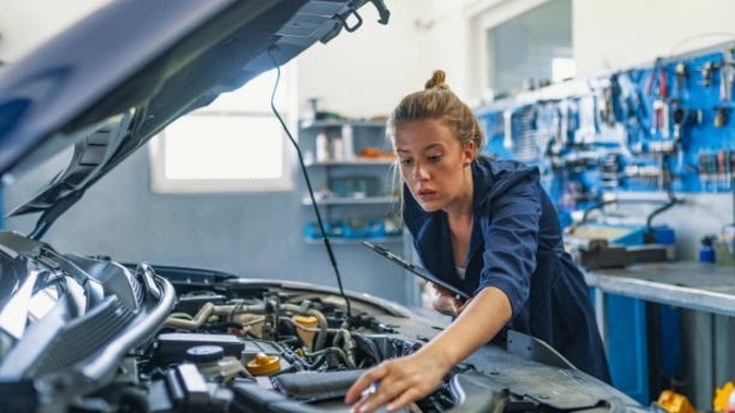 Girls, can you do manual labor jobs? Why do you think the vast majority are men?