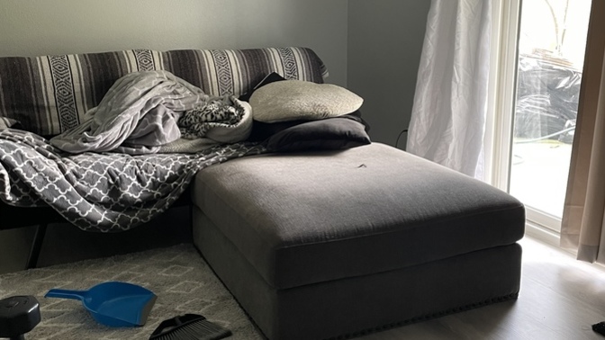 Poll- where do you place your sofa in the living room? Should I put my sofa against the window facing the tv?