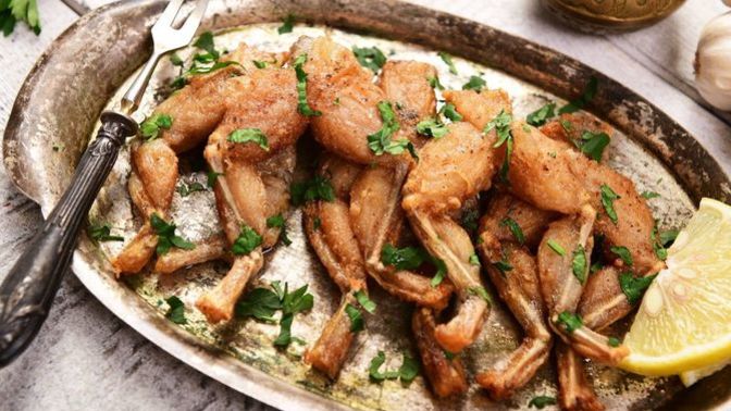 Do you eat frog legs, or would you?
