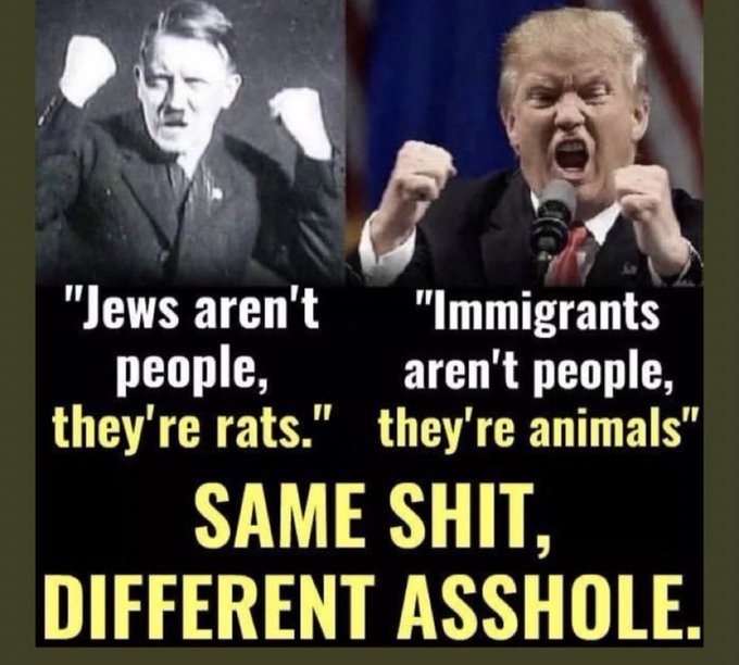 Do you see the similarity between Donald Trump and Hitler?