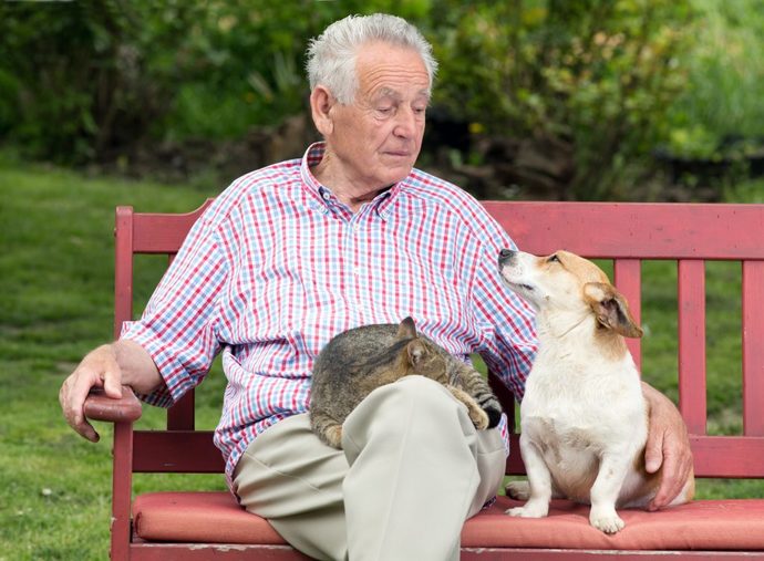 I prefer the companionship/relationships with animals than with people. Do you Agree or disagree with this statement?