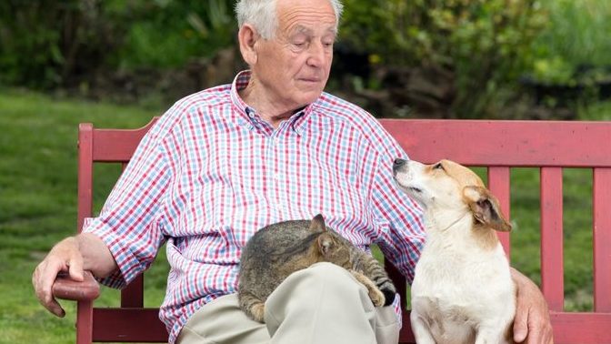 "I prefer the companionship/relationships with animals than with people." Do you Agree or disagree with this statement?