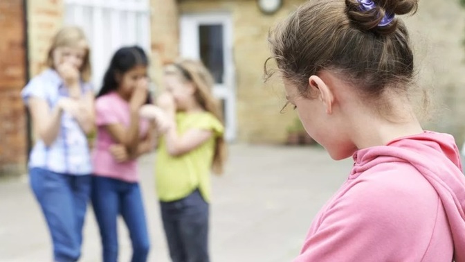 Do you agree with Gary North that most bullying occurs in middle school and that bullying is the fault of the victims parents?