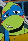 Which Ninja Turtle is your favorite?