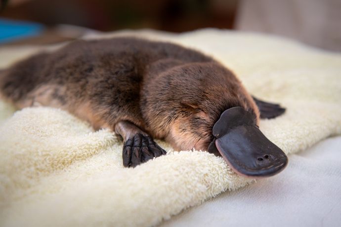 So freaking cute!! <3<3<3