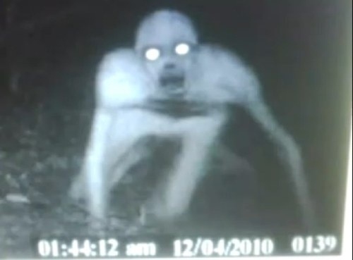 Have you ever seen a ghost?