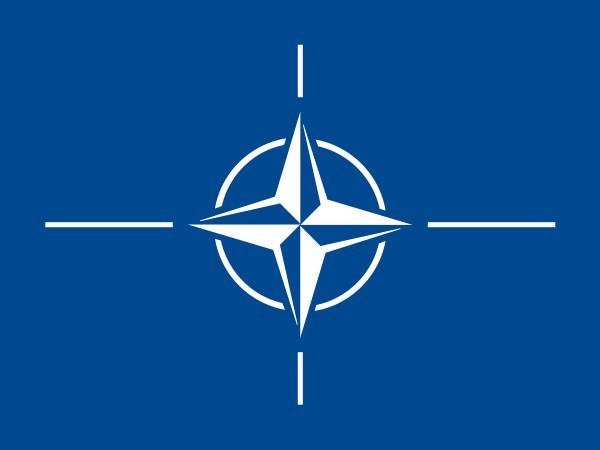 Americans, do you think the US should stop NATO?