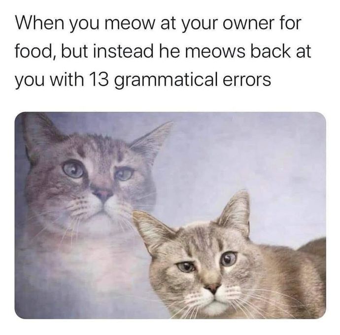Which grammar sin is the worstest?