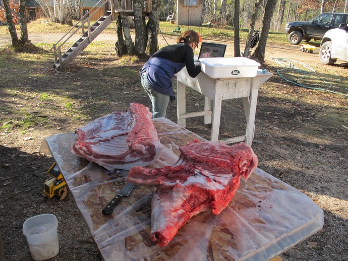 If you have a dog, do you ever feed it scraps from what you've eaten?