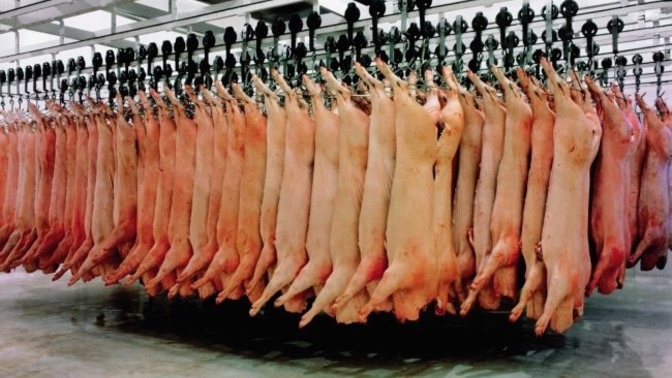 Do you think slaughters houses are immoral and why do people still choose to eat meat anyways?