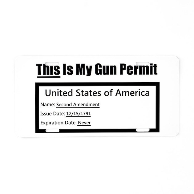 How many more school shootings must we have before the Republicans open their eyes and realize whats going on?