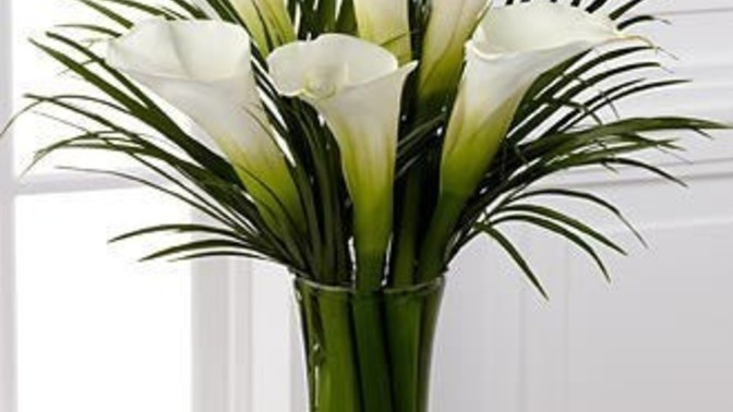 What kind of flower would make a cute gift?