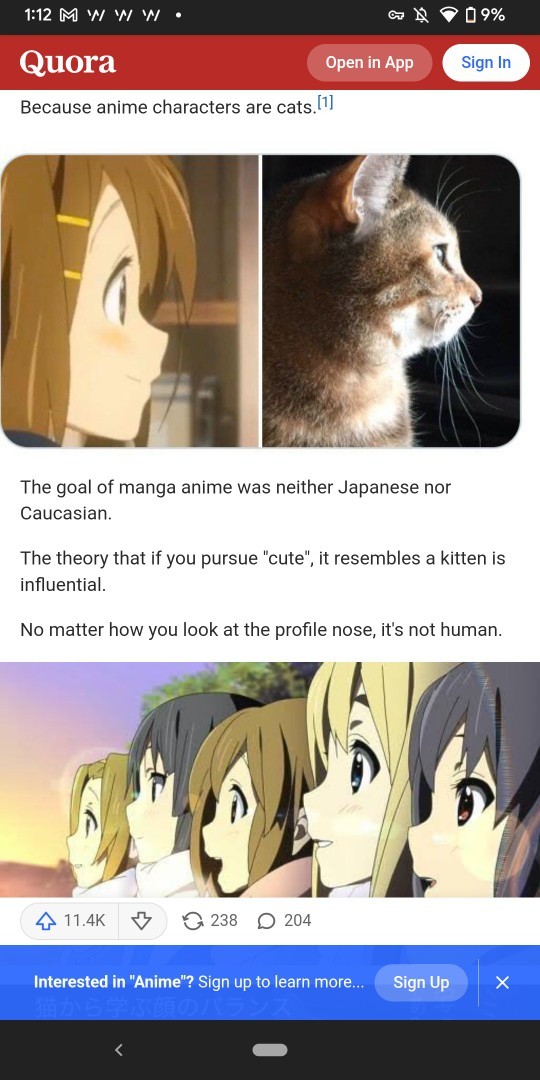 Why do I always compare cute girls to cats?