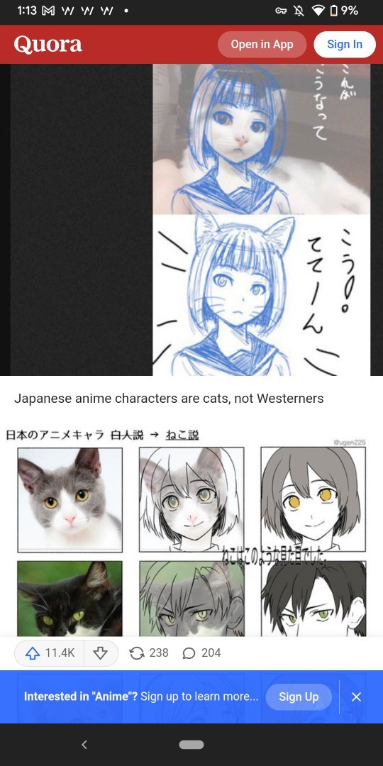 Why do I always compare cute girls to cats?