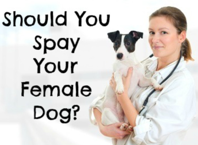 Tp SPAY or NOT, whats YOUR OPINION?