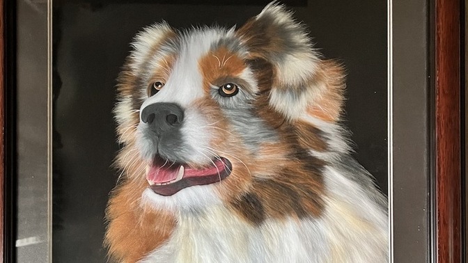 I have a photo/artwork question?