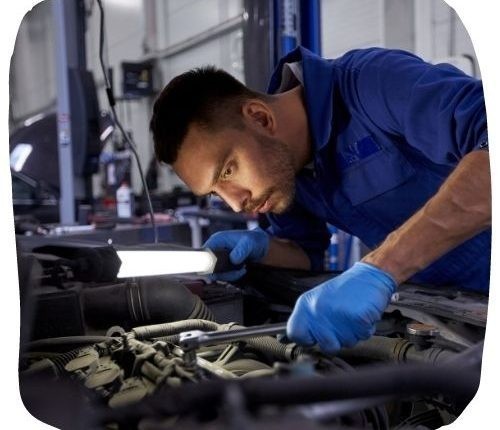 Part 6 of the which job would you prefer as your dream career Gentlemen and Ladies?