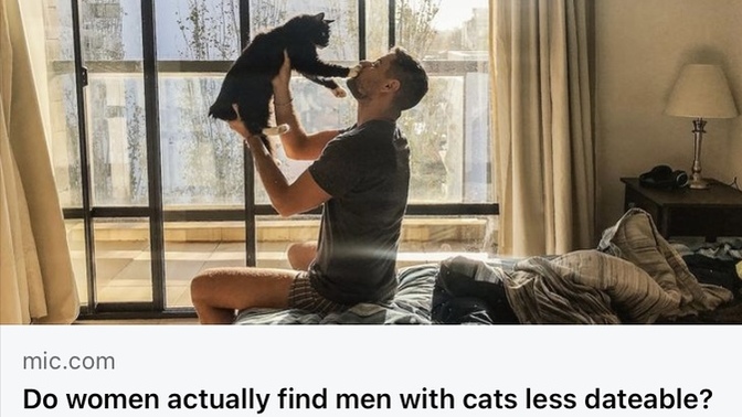 Do women find men with cats less dateable? Yes/no? Guys, do you own cats?