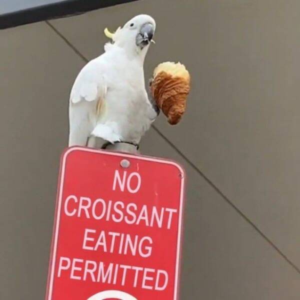 What food should be banned in public?