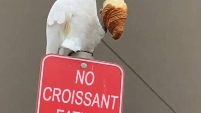What food should be banned in public?