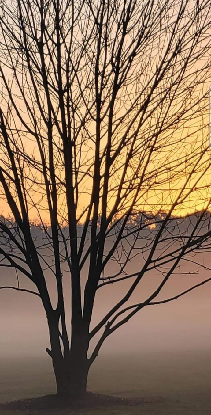 What is Something you Find that Brings you Contentment?