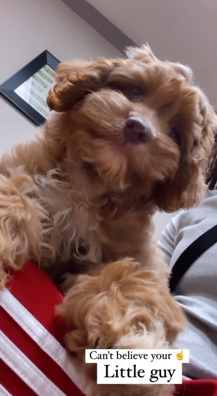 Who gonna wish my little Milo a happy birthday?