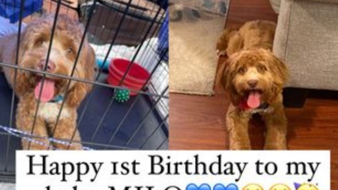 Who gonna wish my little Milo a happy birthday?