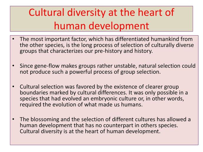 Americans have you been sheltered from your culture? Are you assimilated?