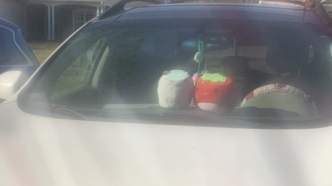 Thoughts on my car decorlol?