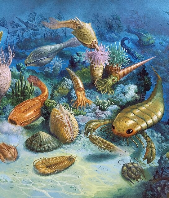 When you think before the dinosaurs, what comes to mind?