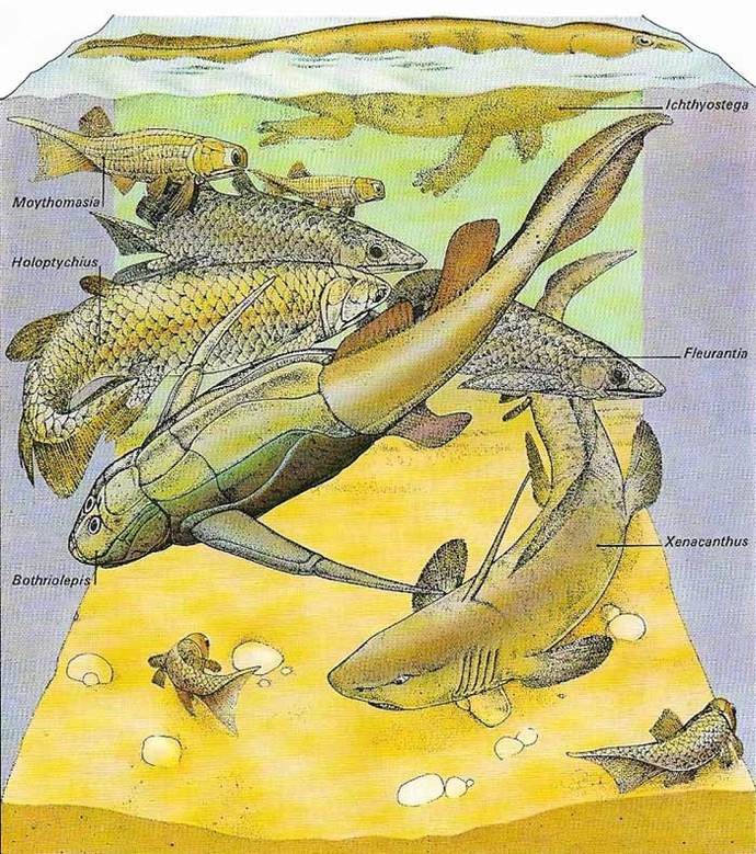 When you think before the dinosaurs, what comes to mind?