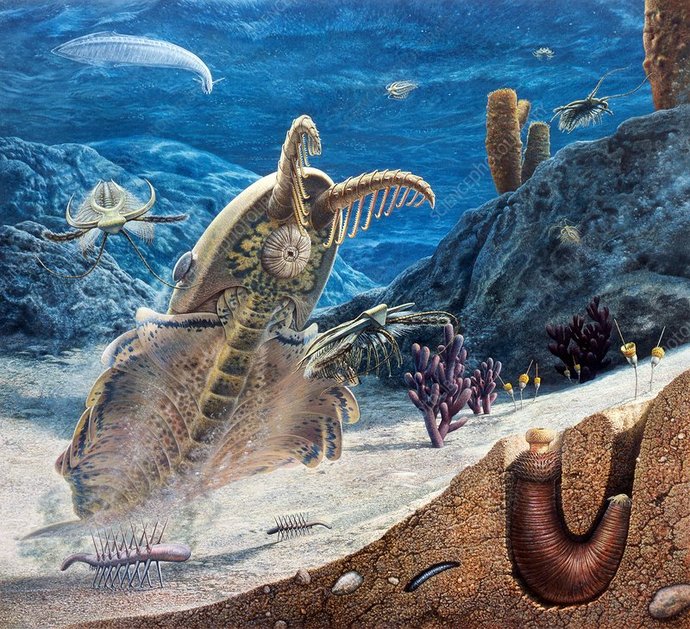 When you think before the dinosaurs, what comes to mind?
