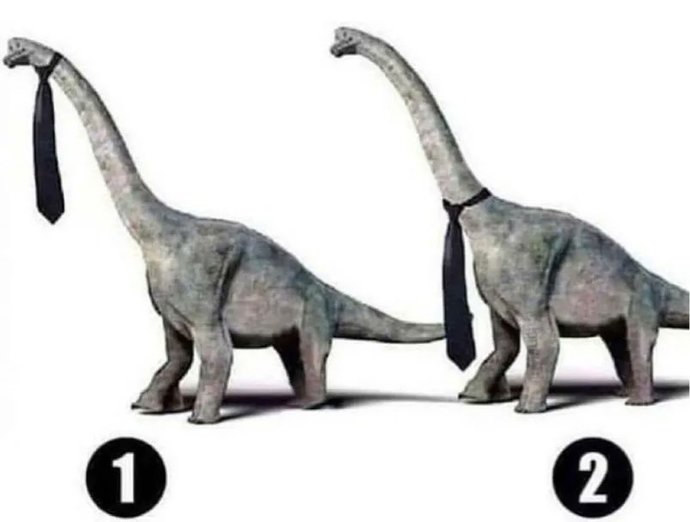 dino