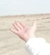 Girls, What makes guys hands so sexy?