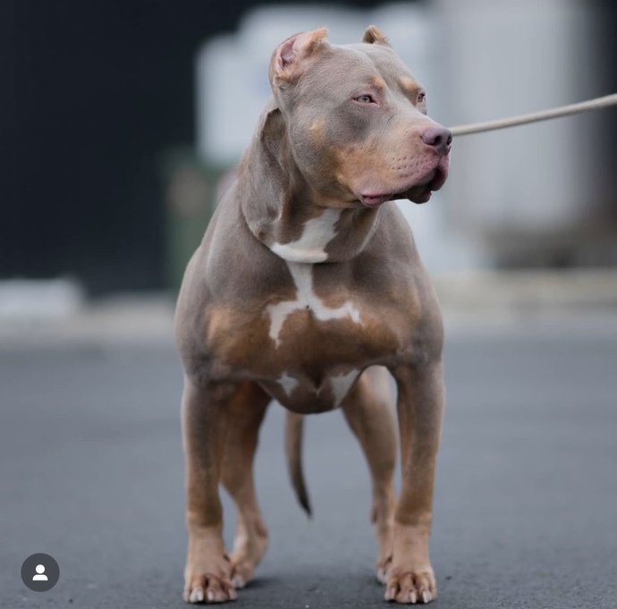 What name do you like?