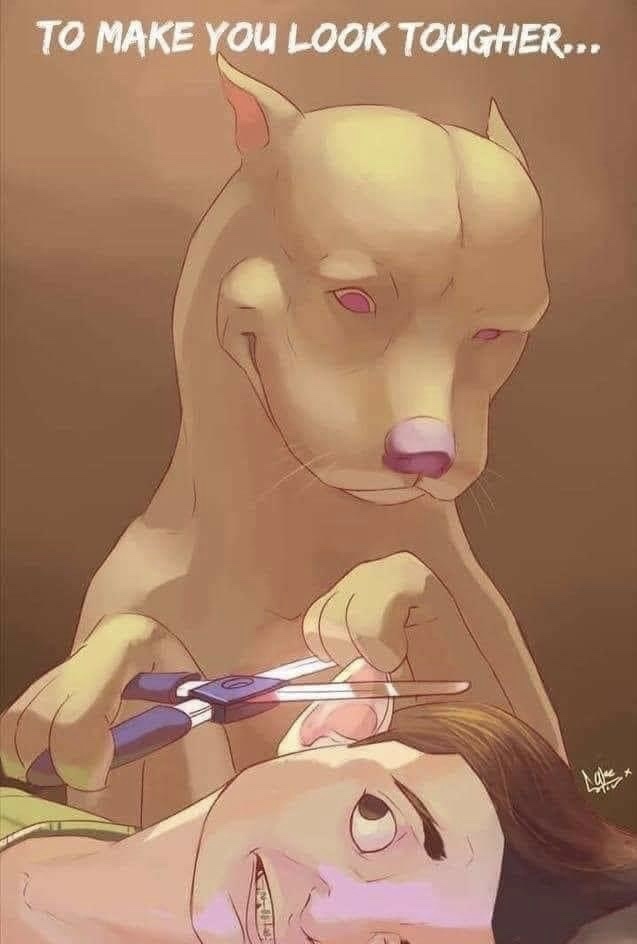 Do you agree/disagree that ear cropping a dog’s ear is inhumane?