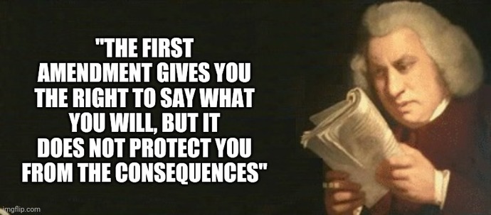 Is being stupid, acting stupid, and talking stupid part of the First Amendment and do you follow the crowd with the antics?