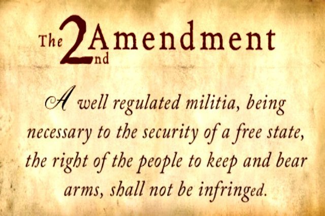 Is being stupid, acting stupid, and talking stupid part of the First Amendment and do you follow the crowd with the antics?