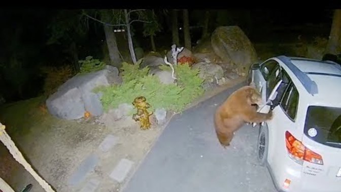 Are you afraid to visit any part of the world because of the wildlife that lives there?